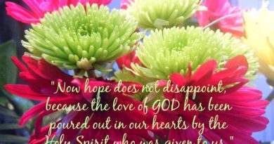 “Hope Uprooted, Replanted” Sermon by Pastor Betsy Perkins