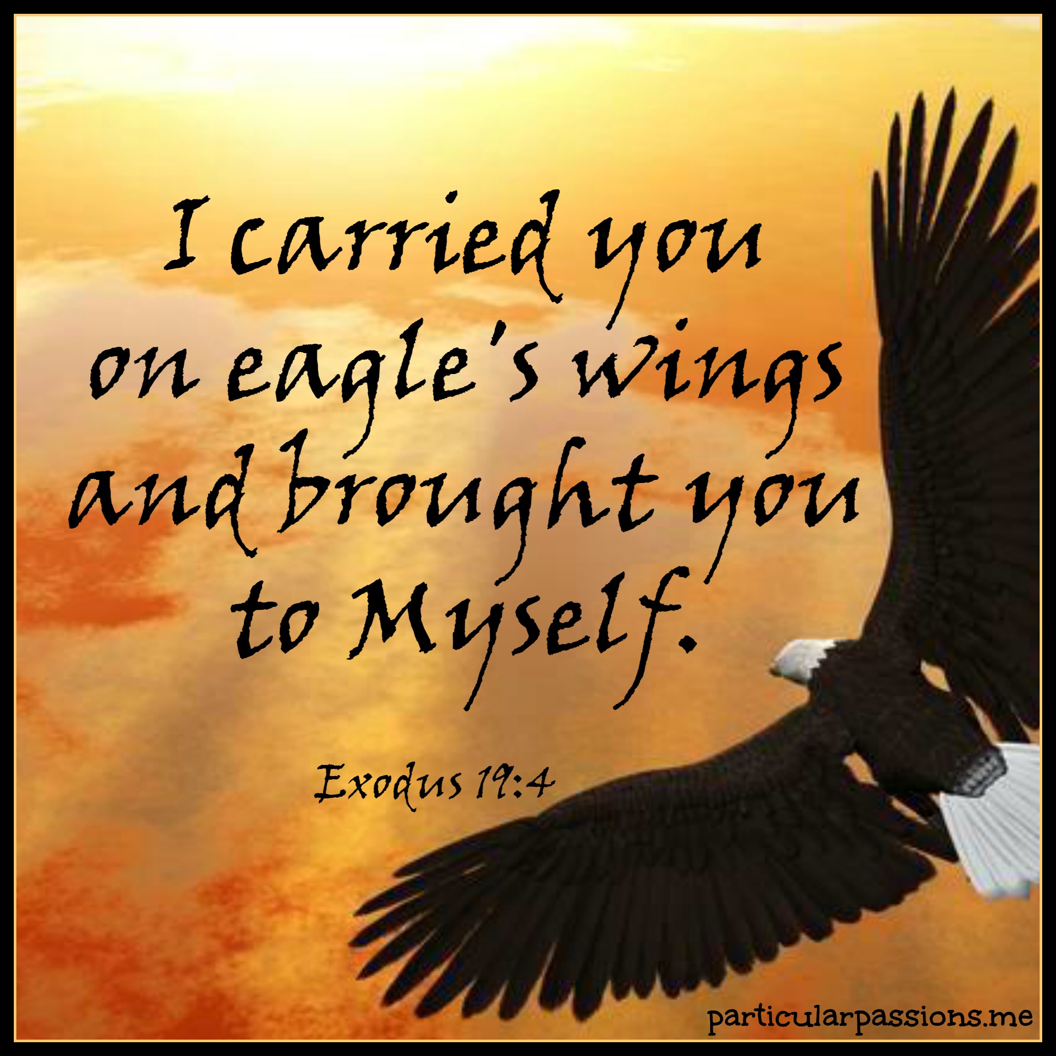 What Does It Mean To Be Carried On Eagles Wings