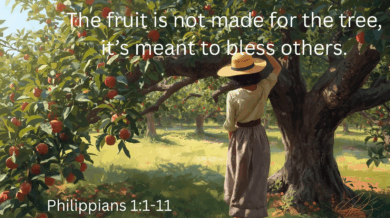 8.31.25 Fruit Meant To Bless