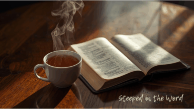 11.2.2025 Steeped In The Word