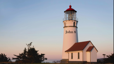 2.22.26 In the Light