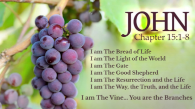 3.22.26 In Christ – I AM