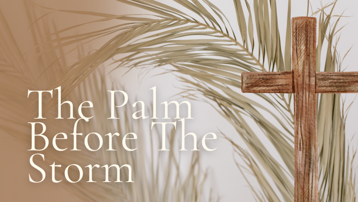 3.29.26 The Palm Before The Storm