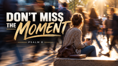 10.25.26 “Don’t Miss The Moment” Psalm 8